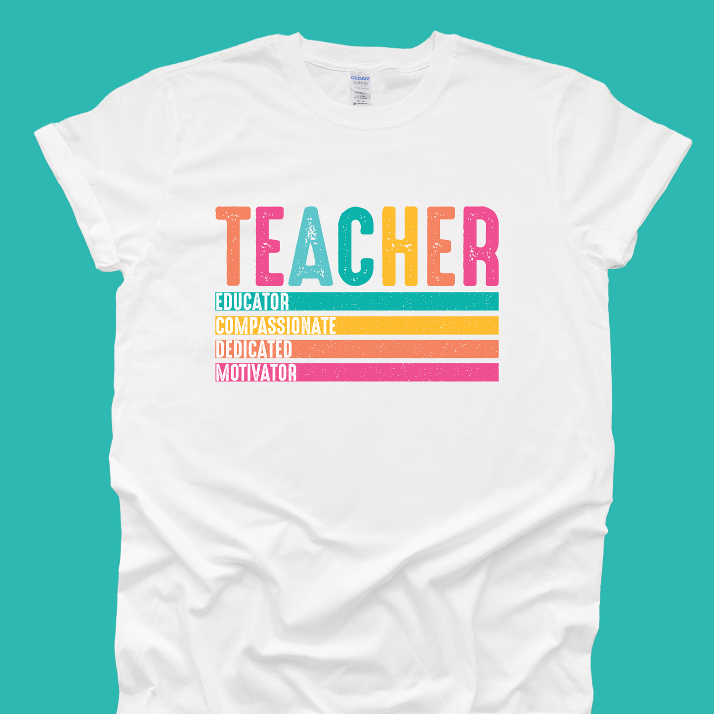 Teacher- Educator, Compassionate, Dedicated, Motivator,