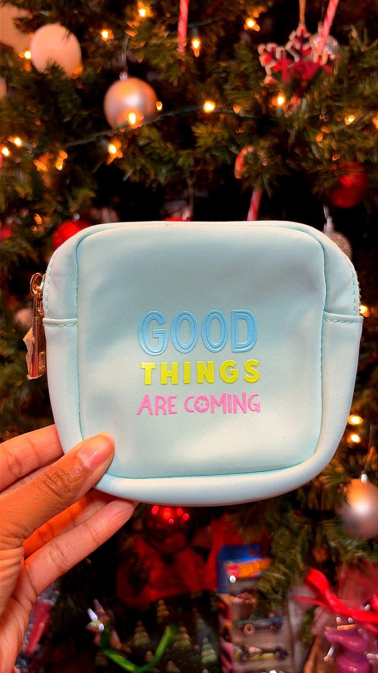 The Teacher On-the-Go Purse
